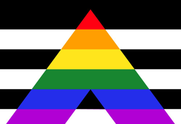 Picture of Straight Ally Pride Flag - 2x3