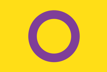 Picture of Intersex Pride Flag - 4x6