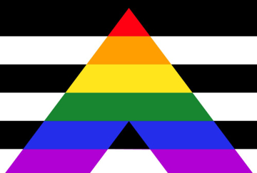 Picture of Straight Ally Pride Flag - 4x6
