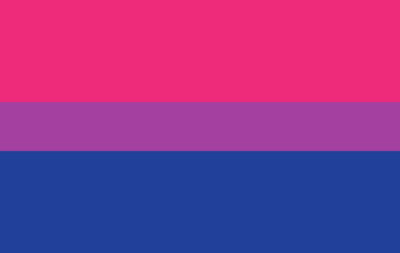 Picture of Start From Scratch - 3x5 Standard Flag