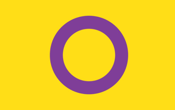 Picture of Intersex Pride Flag - 5x8