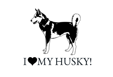 Picture of Novelty 10